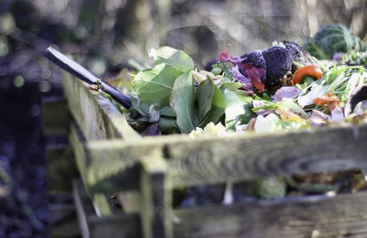 compost casa istruzioni 