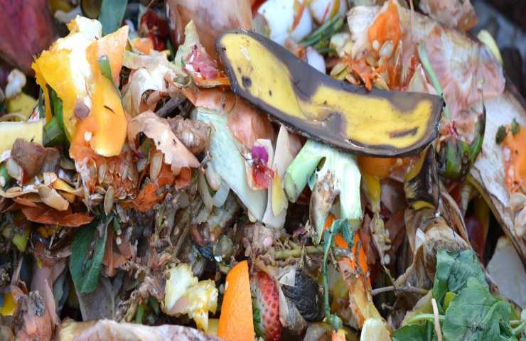 Compost ecologia rifiuti