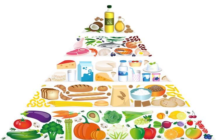 piramide cibo carenza proteine