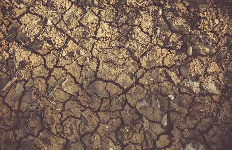 terra siccità rimedi