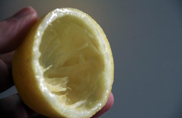 riciclo buccia limone