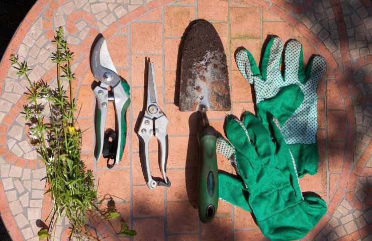 forbici cesoie prolungare vita ortensie 