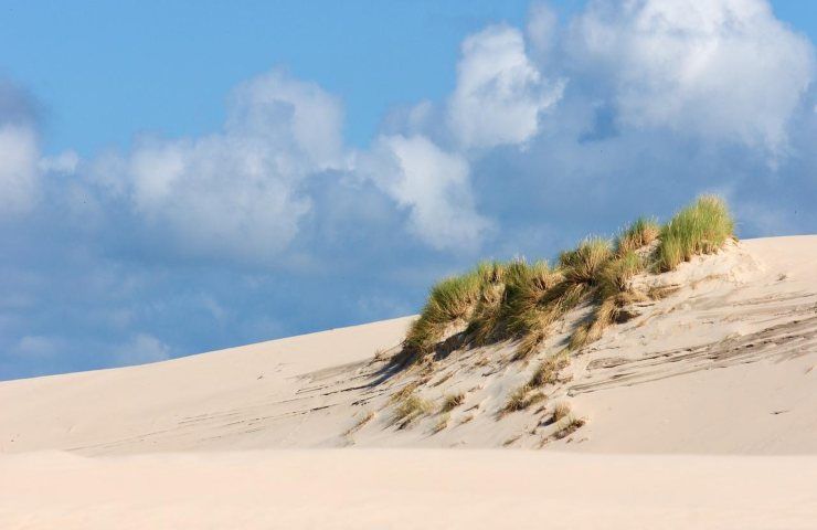 Dune sabbia litorale mare 