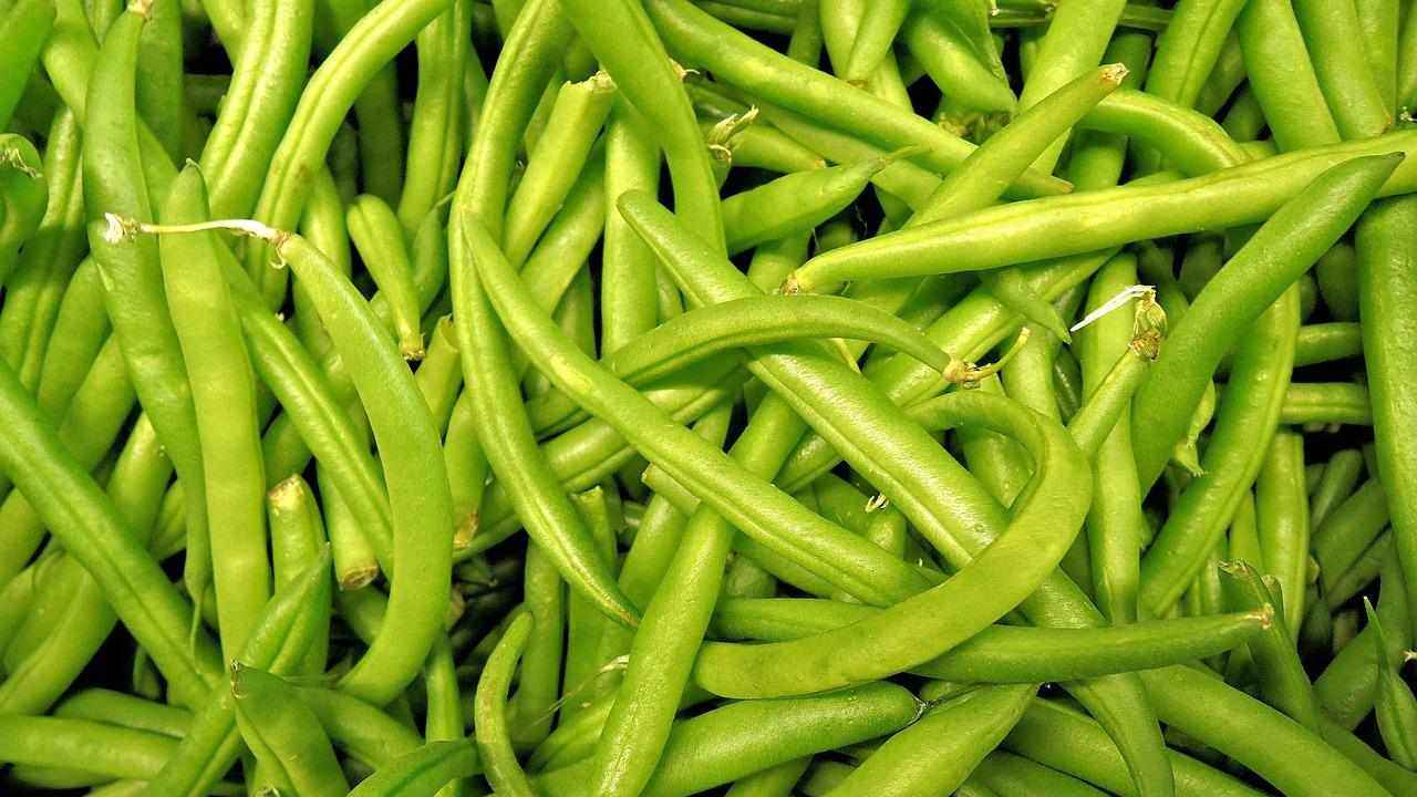 Fagiolini segreti di conservazione