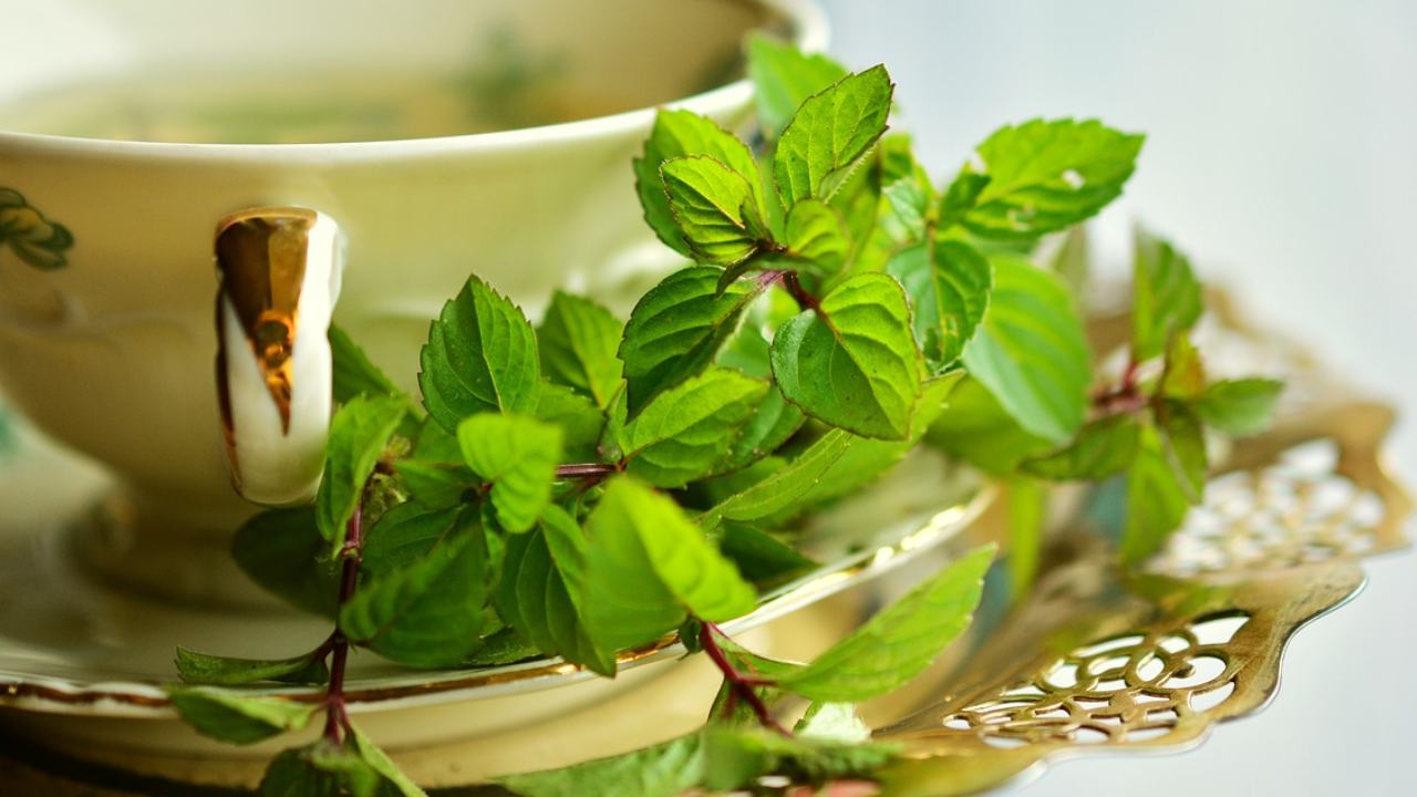 menta rosmarino profumo casa