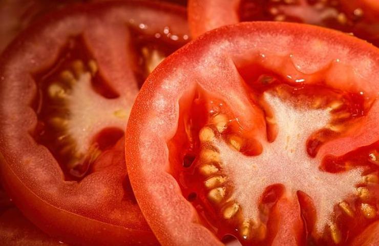 solanina alcaloide interno pomodori rischi