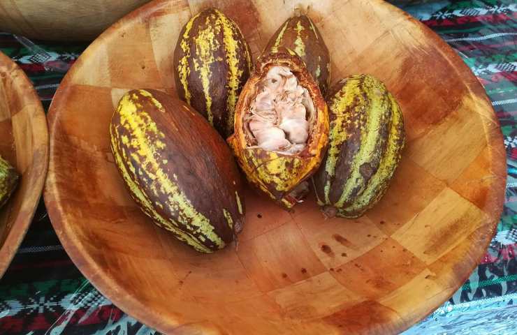 Fertilizzante naturale cacao 