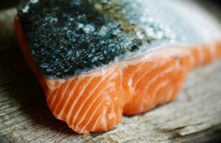 allevamento salmone selvatico sostenibile