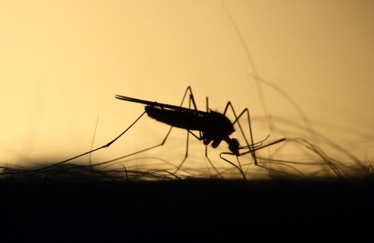 spray repellente zanzare