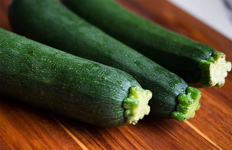 consigli coltivazione zucchine