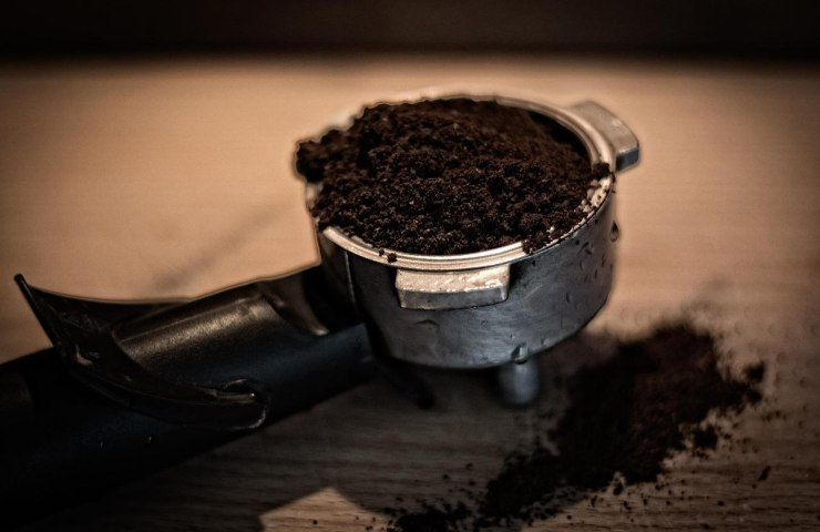 Fondi caffè fertilizzante macinato