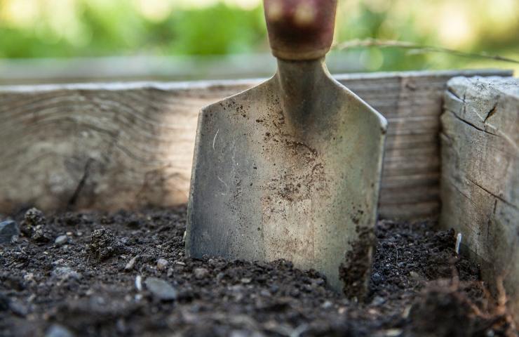 Fondi caffè fertilizzante vanga