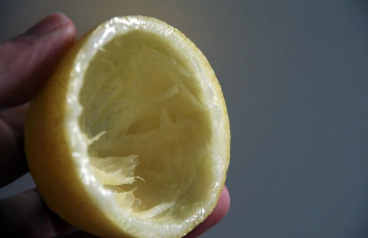 Buccia limone 