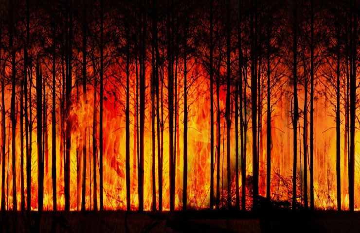 cambiamenti climatici causa incendi