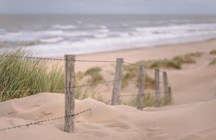 litorale dune paesaggio 