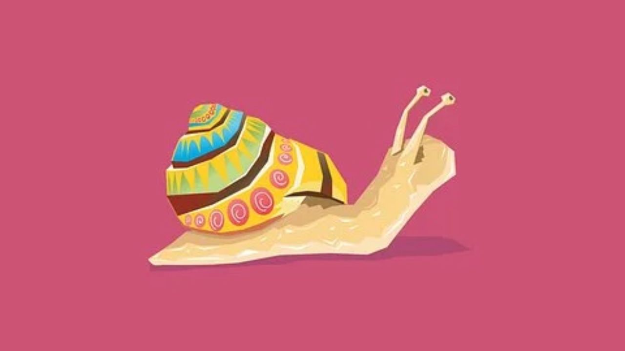 lumaca rappresentazione allevamento