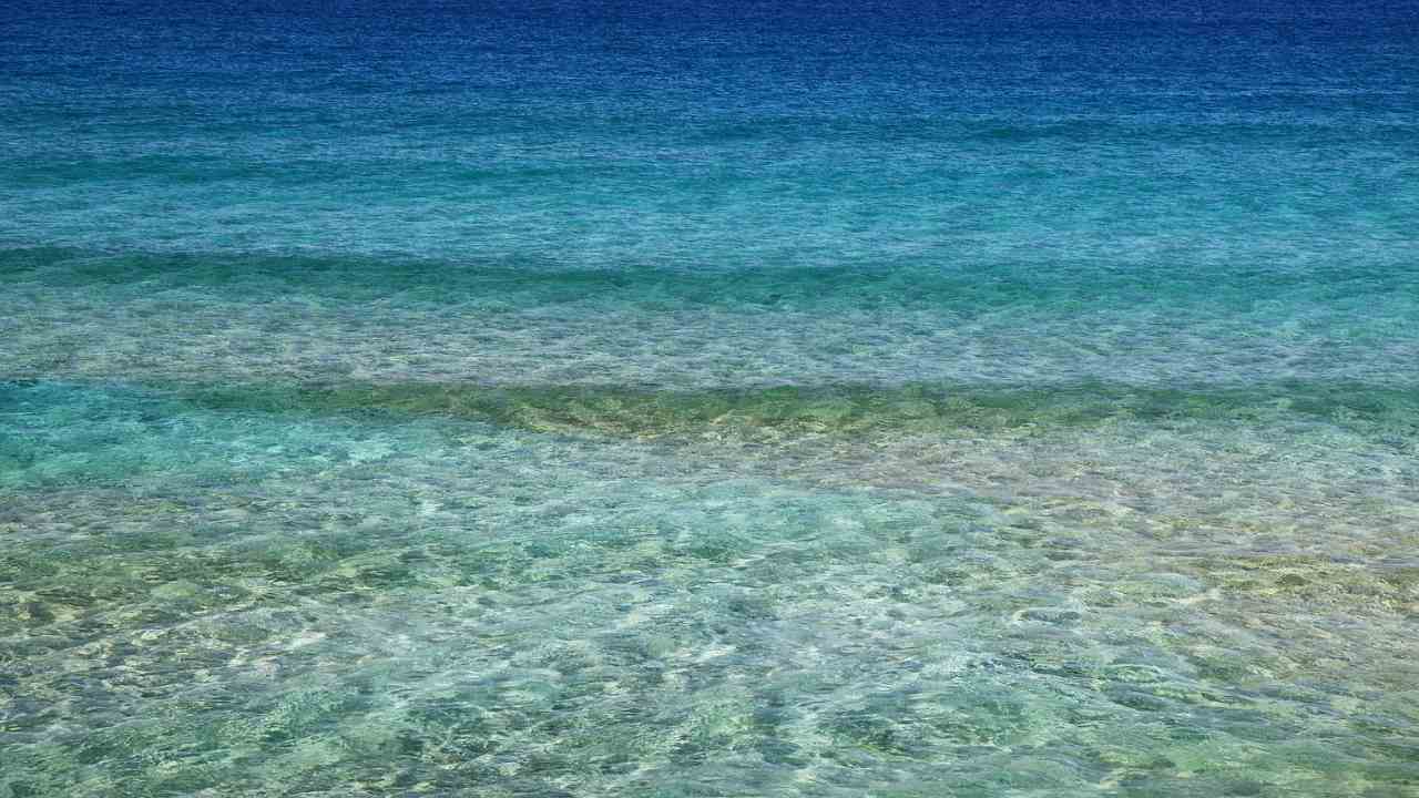 mare colori diversi ragioni