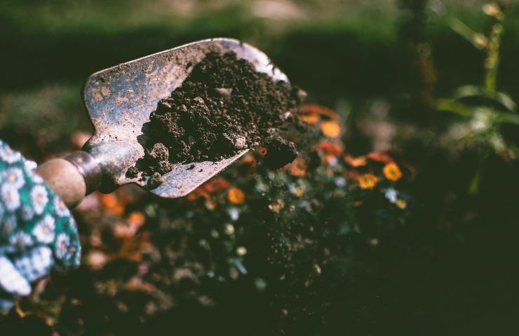 attrezzi giardino migliori