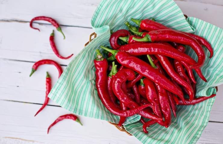 peperoncino afidi cosa fare