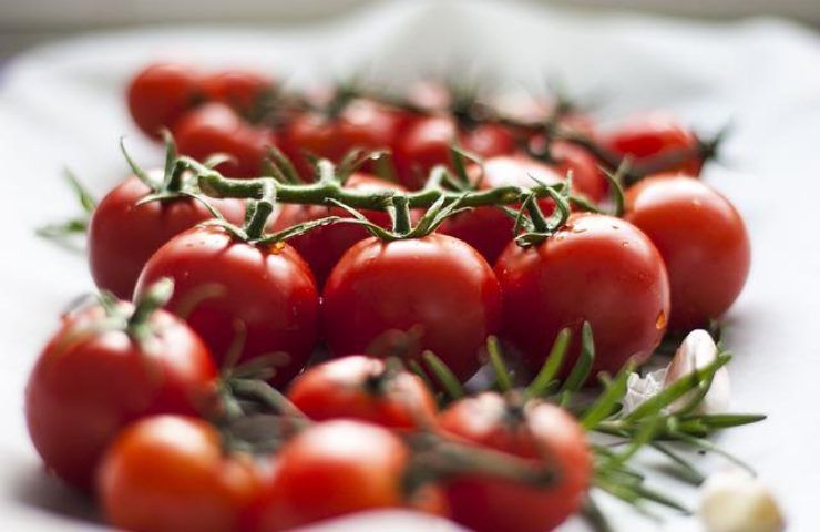 afidi moscerini pomodori cosa fare