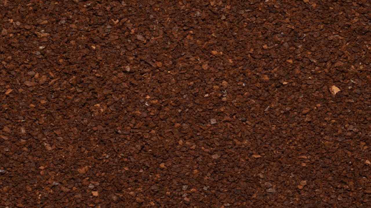 utilizzare i fondi del caffè nel miglior modo possibile