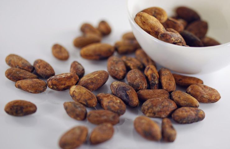 Fertilizzante naturale cacao 