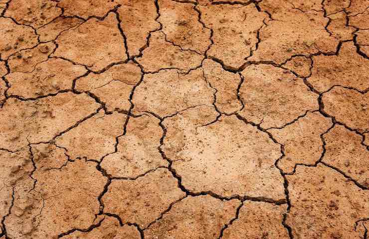 terra marrone siccità