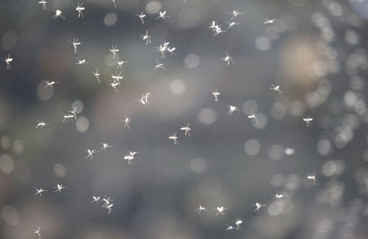 Alluvione in Emilia-Romagna, i rischi delle acque stagnanti