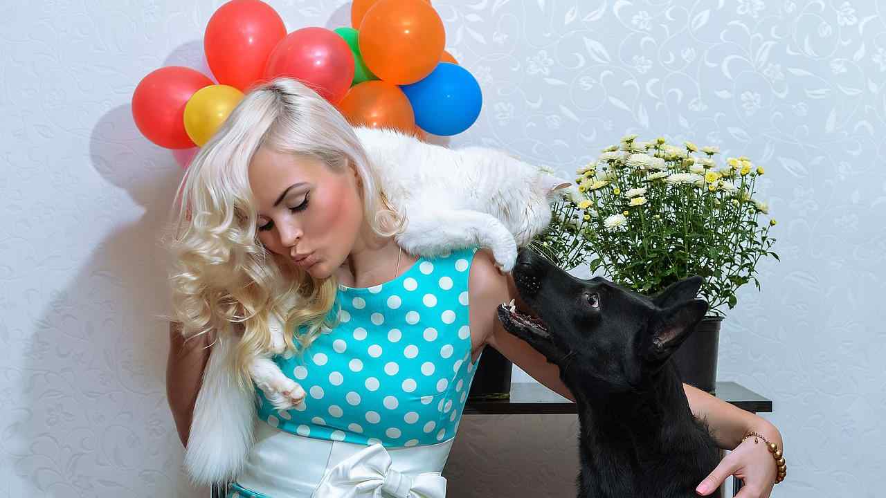 Cane e gatto sotto stress