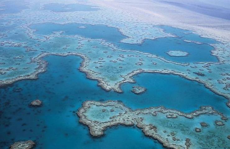 condizioni barriera corallina 