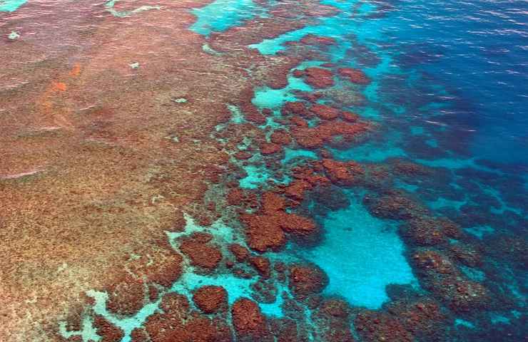 come sta la grande barriera corallina 