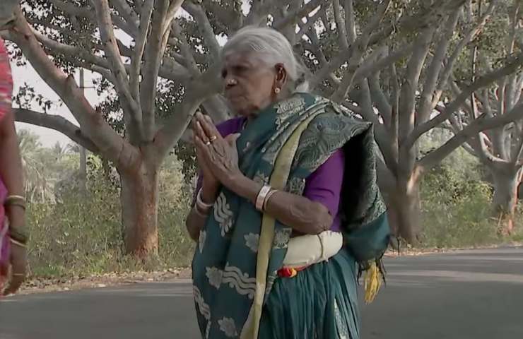 Ambientalista indiana mamma degli alberi