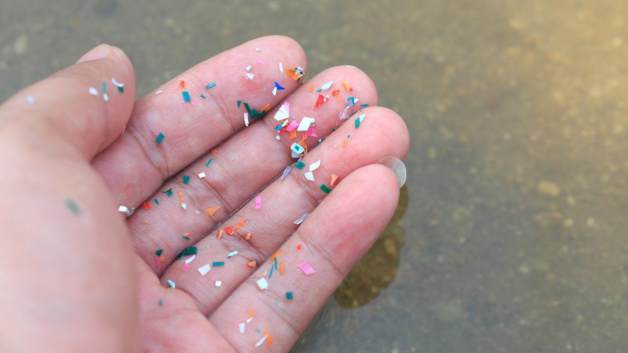 microplastiche pericolose ambiente