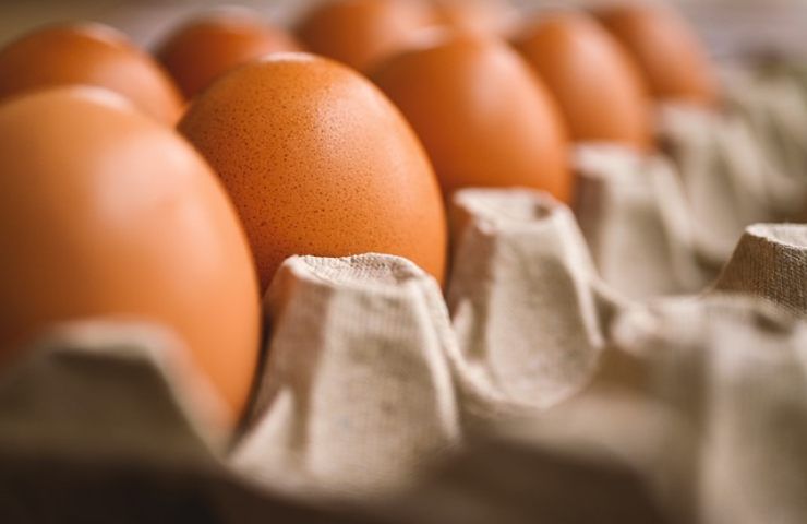 caldo galline stressate rallenta produzione uova