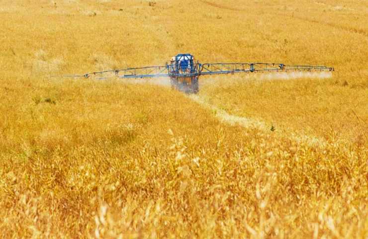 rapporto rapporto di Foodwatch “Locked-in Pesticides” 