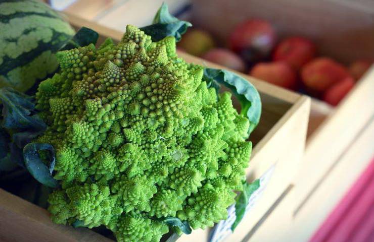 broccolo romanesco verde