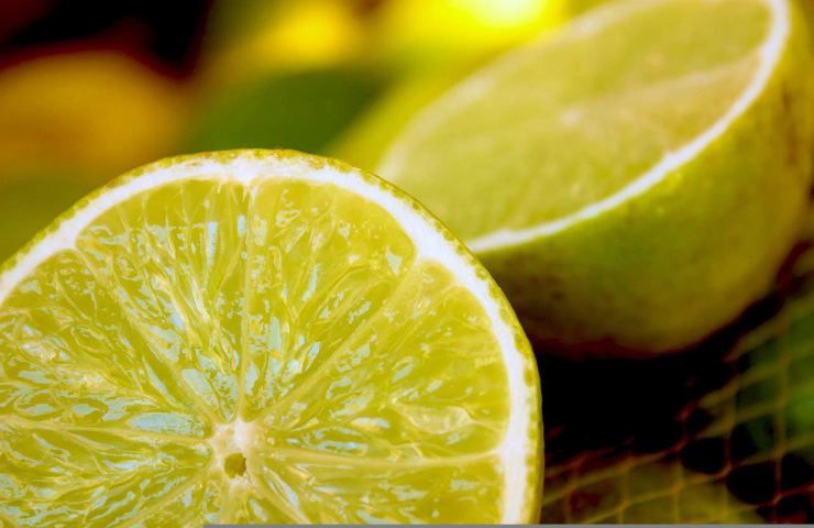 limoni scopa come funziona