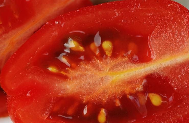 Spaccatura pomodori semini
