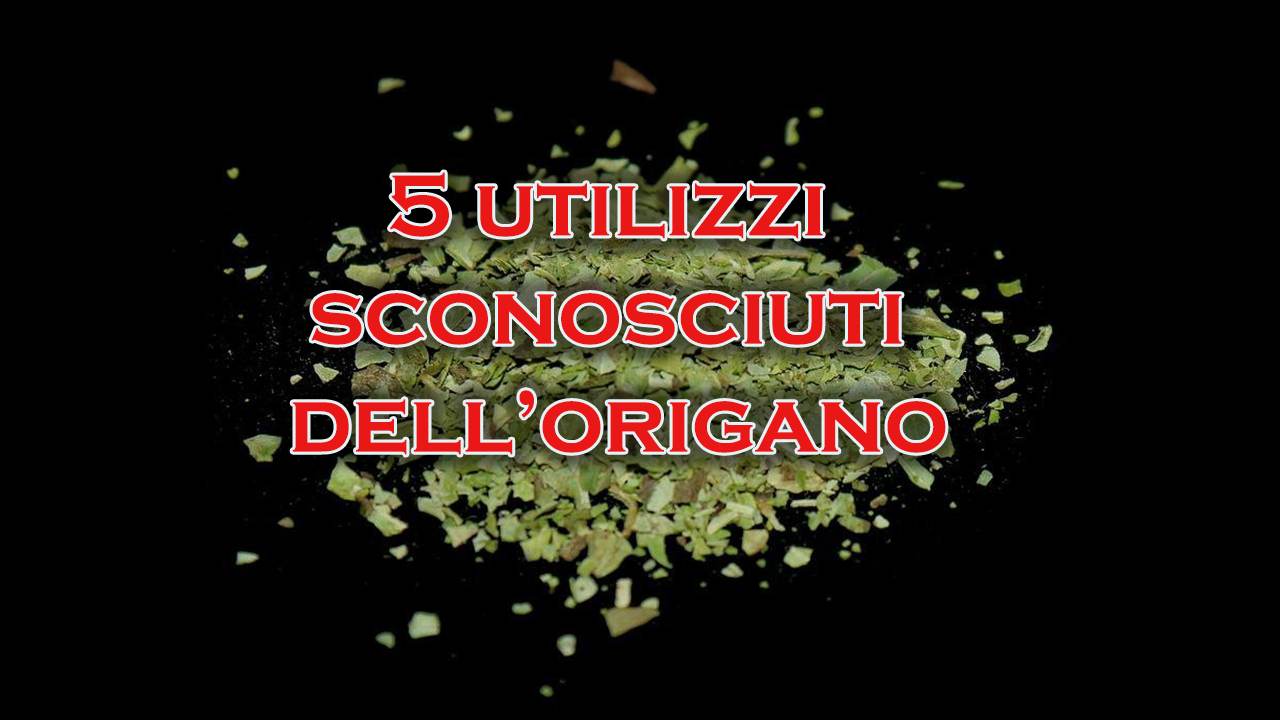 come utilizzare l'origano
