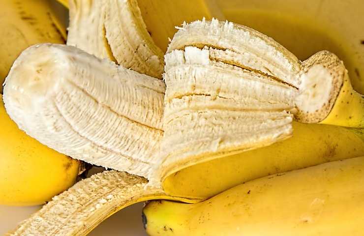 ferro e potassio in giardino banane per il potassio