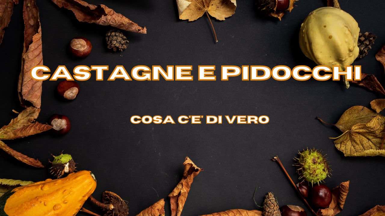 castagne pidocchi verità