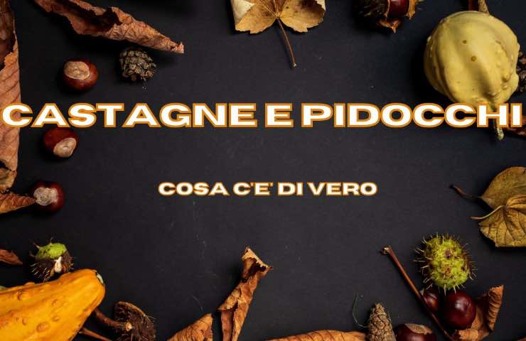 castagna pidocchi mito