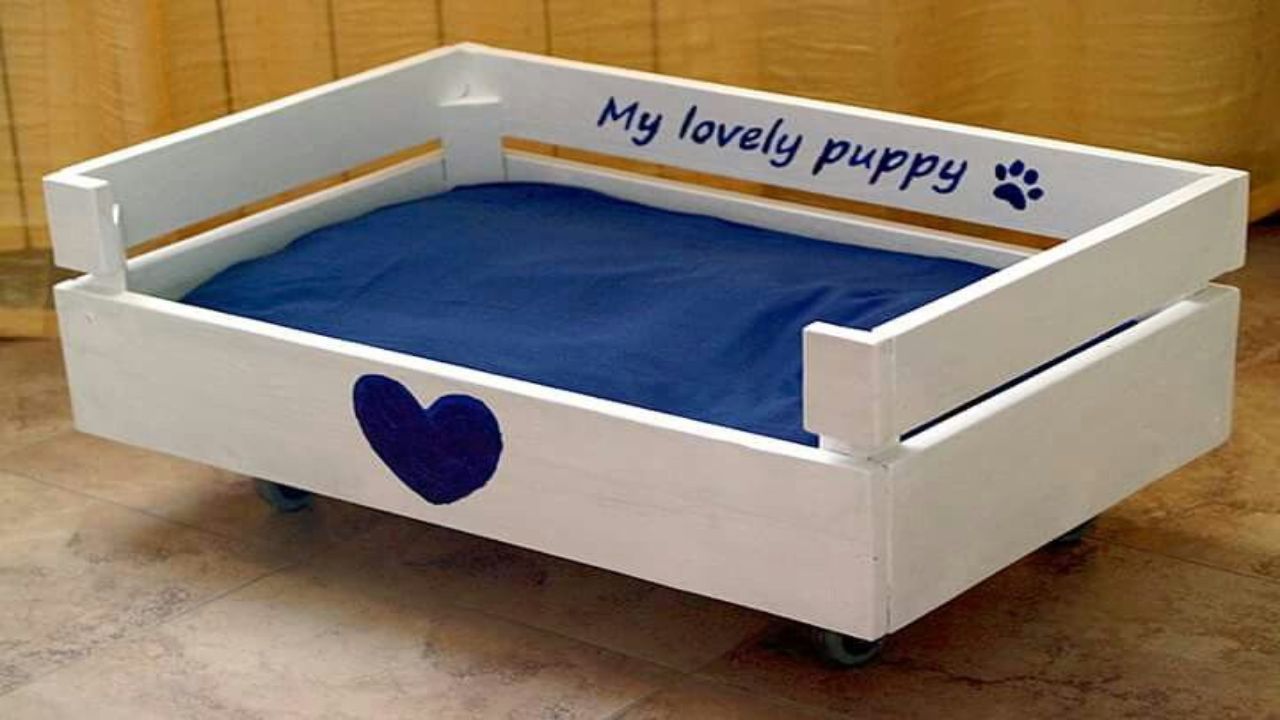 cucce cani realizzarle facilissimo inverno