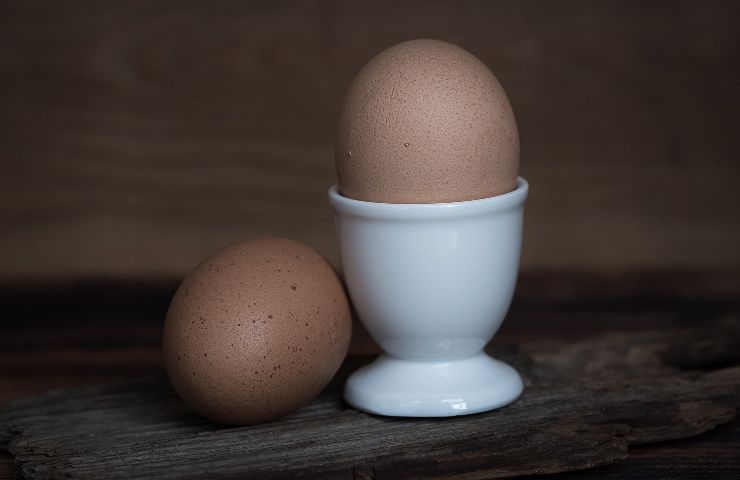 riconoscere uova andate a male