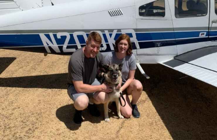 cane percorre 1000 km per riabbracciare la sua famiglia