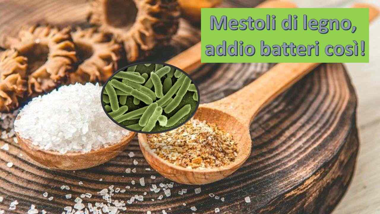 Mestoli legno eliminare batteri