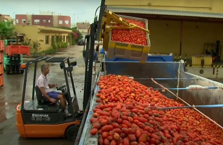 lancio pomodori Spagna