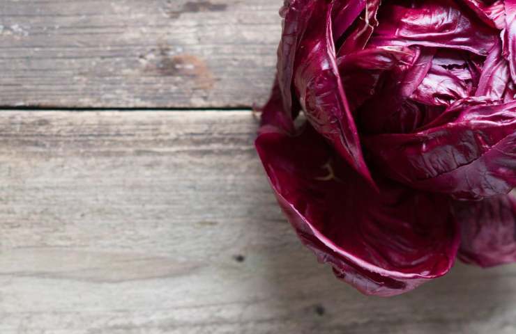 Radicchio conservazione