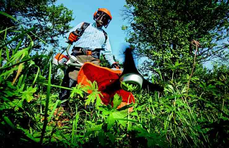 cosa fare per avere un giardino sempre perfetto