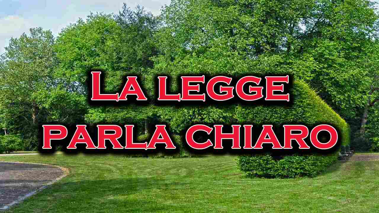 codice civile alberi confine casa